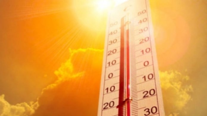 sun stroke deaths in telangana