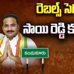 Political Heat in Kandukur: రెబల్స్ సెగ.. సాయి రెడ్డి కథేంటి..?