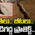 Medigadda Barrage: గుంతలు.. బీటలు.. ఓ మేడిగడ్డ ప్రాజెక్ట్