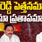 Peddireddy Family Vs NDA Alliance: పెద్దిరెడ్డి పెత్తనమా..? మా ప్రతాపమా..?