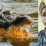 A Mother Throws 6 Years Son Crocodile Infested River: దంపతుల మధ్య గొడవ, ఆరేళ్ల కొడుకుని మొసలికి ఇచ్చిన తల్లి