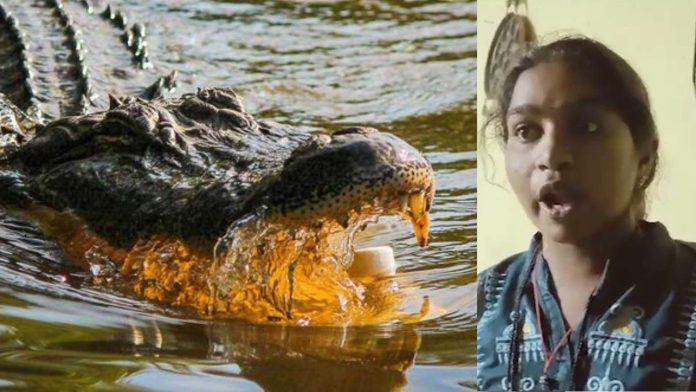A Mother Throws 6 Years Son, Into Crocodile Infested River in Karnataka