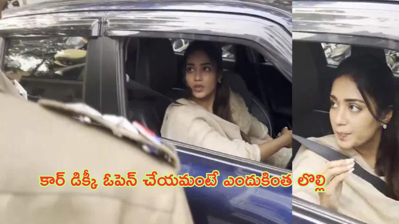 April 2024 Best Selling Cars: ఏప్రిల్‌ నెల సేల్స్‌లో దుమ్ము రేపిన కార్లు ఇవే.. మొదటి స్థానంలో టాటా కారు కైవసం!