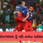 RCB Vs DC Match Highlights: తాను ఓడి.. ఆర్సీబీకి ఊపిరిపోసిన ఢిల్లీ..!