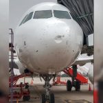 Vistara flight: వడగళ్లకు దెబ్బతిన్న ఫ్లైట్.. ఒడిశాలో ఎమర్జెన్సీ ల్యాండింగ్