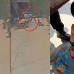 Tree Fell on Couple : ట్రీట్మెంట్ కోసం ఆస్పత్రికి.. భారీ వృక్షం పడి భర్త మృతి