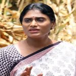 Case on YS Sharmila : ఆ విషయంపై వ్యాఖ్యలు.. వైఎస్ షర్మిలపై కేసు నమోదు