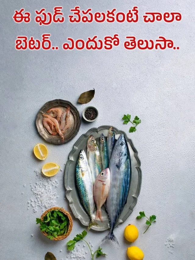 Foods That Are better than Fish