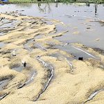 Farmers Died : తీవ్ర నష్టం.. తీరని విషాదాన్ని మిగిల్చిన భారీ వర్షం