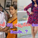 Manjusha: ఎన్టీఆర్ రీల్ చెల్లి.. ఇప్పుడు ఎంత హాట్ గా ఉందో తెలుసా.. ?
