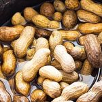 Health Tips: ఉడికించిన వేరుశెనగలు రోజూ తింటే అద్భుతమైన ఆరోగ్య ప్రయోజనాలు