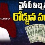AP Election Betting: ఎన్నికల ఫలితాలపై బెట్టింగులు.. వైసీపీ పిచ్చితో రోడ్డున పడ్డ..