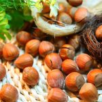 Hazelnut Health Benefits: డయాబెటిస్ ఉన్న వాళ్లు.. హాజెల్ నట్స్ తింటే ఎంత మంచిదో..