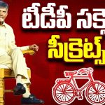 TDP Success Secrets: ఏపీ ఎన్నికల ఫలితాల్లో ఊహించని విజయం.. టీడీపీ స‌క్సెస్ సీక్రెట్స్‌ ఇవే..!