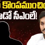 Ys Jagan Defeat: జగన్ కొంపముంచింది ఆ షాడో సీఎంలేనా..?