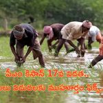 PM Kisan 17th Installment: పీఎం కిసాన్ 17వ విడత.. నిధులు విడుదలకు ముహూర్తం ఫిక్స్..