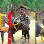 Viral Video: పెళ్లి కూతురు దొరకట్లేదని.. గేదెను పెళ్లి చేసుకున్నాడు..