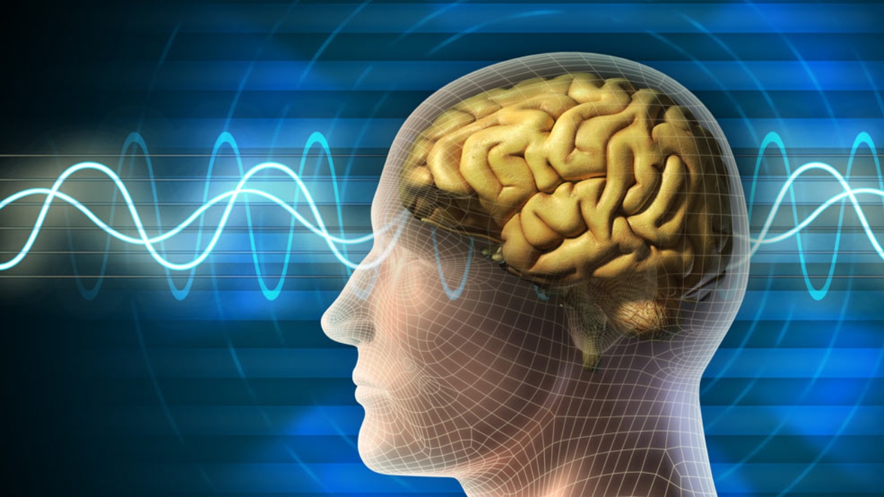 Foods for Memory Power: మీ జ్ఞాపకశక్తితో పాటు ఆరోగ్యాన్ని పెంపొందించే 5 ఆహారాలు ఇవే..