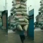 Viral Video: ఒకేసారి అన్ని బస్తాలు ఎలా మోసుకొచ్చావ్ రా నాయనా..