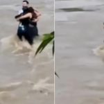 Viral Video: ప్రాణాలు పోయే సమయంలోను.. కలిసి కట్టుగా ఉన్నారండి ఆ ముగ్గురు