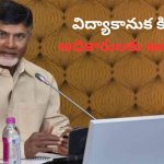 CM Chandrababu: జగన్ బొమ్మ ఉన్నా పర్లేదు.. కిట్లు పంపిణీ చేయండి : సీఎం చంద్రబాబు