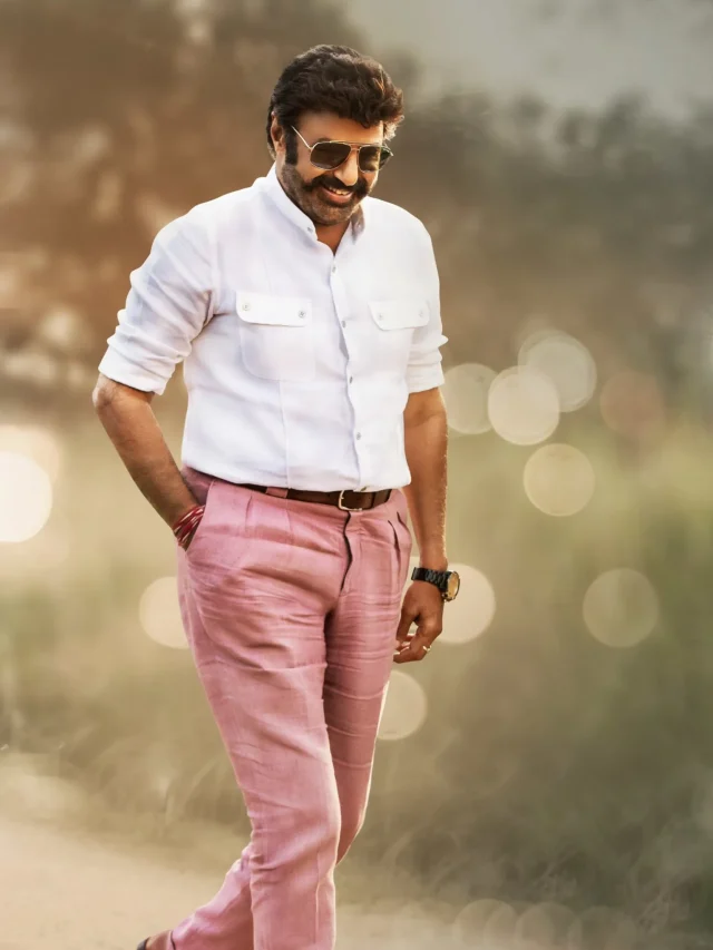 Nandamuri Balakrishna birthday Special: నందమూరి బాలకృష్ణ కెరీర్ బెస్ట్ మూవీస్ అంటే ఇవే..