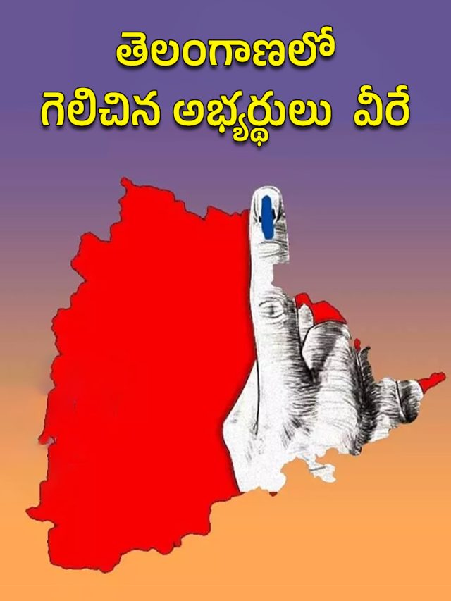 Telagana Loksabh Election Result 2024: తెలంగాణాలో గెలిచిన అభ్యర్ధులు వీరే