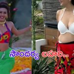 Deepti Bhatnagar: సౌందర్య లహరి.. స్వప్న సుందరి.. ఇప్పుడు ఎంత హాట్ గా ఉందో చూశారా..?