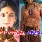 Actress Gayatri: నాగమ్మ సీరియల్ లో నాగమ్మగా మెప్పించిన ఈ చిన్నది గుర్తుందా.. ఇప్పుడేం చేస్తుందో తెలుసా.. ?