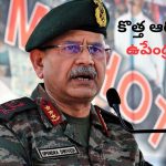Indian Army New Chief: కొత్త ఆర్మీ చీఫ్‌గా డిప్యూటీ ఆర్మీ చీఫ్ లెఫ్టినెంట్ జనరల్ ఉపేంద్ర ద్వివేది..
