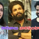 Niharika Konidela: అల్లు అర్జున్ తో విబేధాలు.. నిహారిక క్లారిటీ ఇచ్చేసింది ఇలా