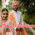 Niti Taylor: మరో స్టార్ హీరోయిన్ విడాకులు.. ?