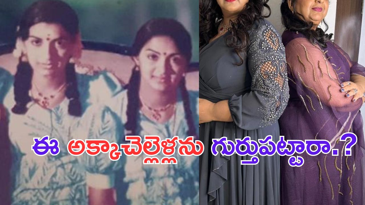 Tollywood Heroines: రెండు జడలు వేసుకొని హొయలు పోతున్న ఈ అక్కాచెలెళ్లు.. ఇండస్ట్రీని ఒక ఊపు ఊపారు.. ఎవరో గుర్తుపట్టండి
