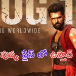 Doubleismart: బ్రేకింగ్.. పుష్ప వాయిదా.. ఆ డేట్ ను లాక్ చేసిన ఇస్మార్ట్ రామ్