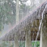 Telangana Weather Report: రాష్ట్రంలో రాగల మూడు రోజులు భారీ వర్షాలు.. వాతావరణ శాఖ హెచ్చరిక