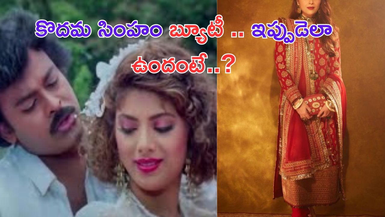 Sonam Khan: 'కొదమ సింహం'.. ఘుమ్.. ఘుమాయించు అందం.. పాటలో చిరుతో రొమాన్స్ చేసిన ఈ బ్యూటీ గుర్తుందా.. ఇపుడెలా ఉందంటే..?