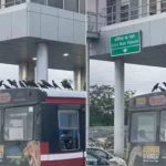 Viral Video: గాల్లో ఎగరాలని మర్చిపోయాయి అనుకుంటా.. బస్సు జర్నీ చేస్తున్న కాకులు..