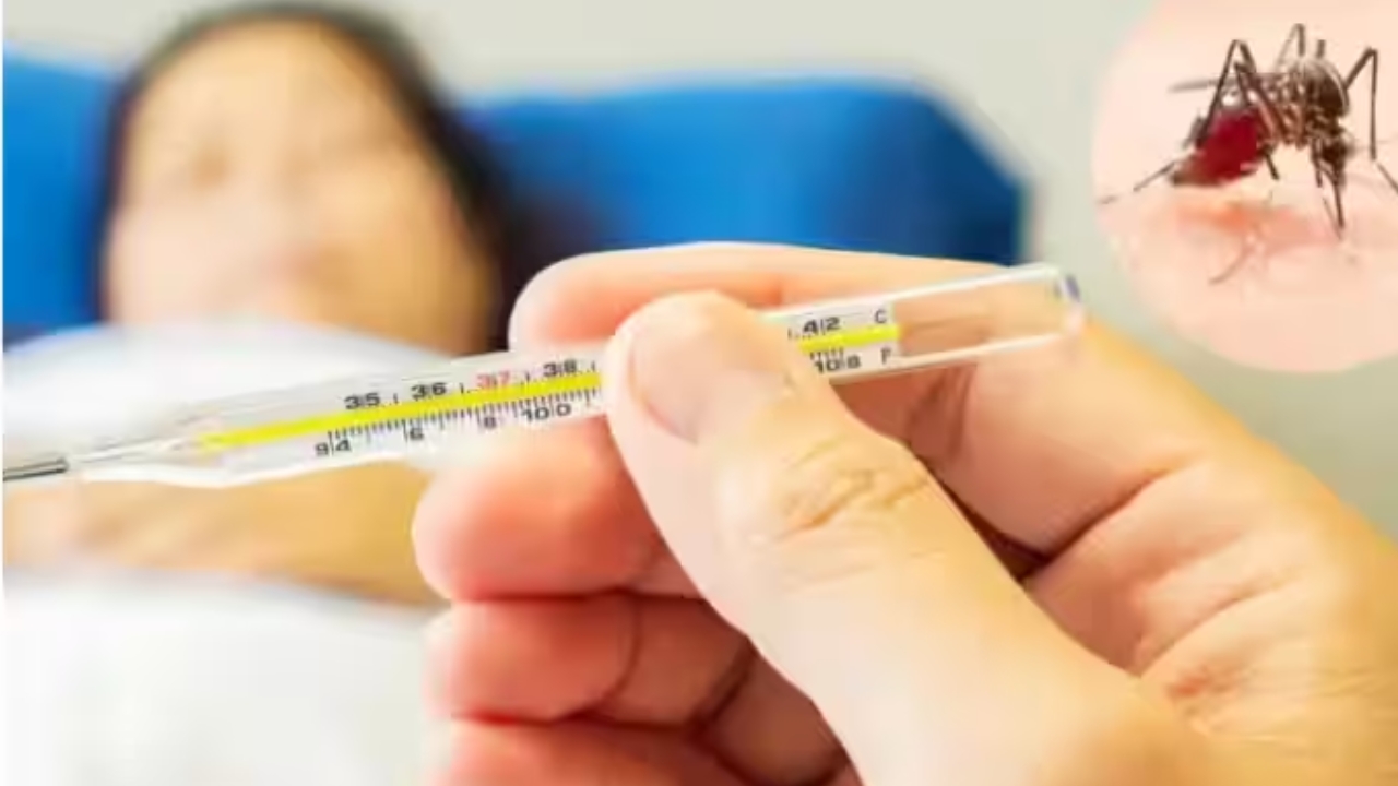 Dengue Symptoms: మీలో ఈ లక్షణాలు కనిపిస్తున్నాయా.. అయితే మీరు డెంగ్యూ బారిన పడినట్లే