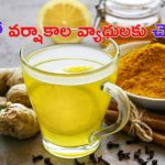 Immunity Boosting Drinks: వర్షాకాలంలో రోగనిరోధక శక్తిని పెంచే డ్రింక్స్ ఇవే !