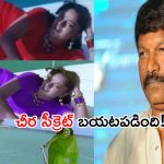 Soundarya-Krishna Vamsi:  ఆ సాంగ్‌లో సౌందర్య చీర రంగులను మార్చారా..అసలు విషయం చెప్పిన డైరెక్టర్ కృష్ణవంశీ