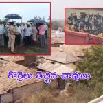 Kamareddy Crime: కామారెడ్డిలో దారుణం.. గొర్రెలు తెచ్చిన చావులు.. రెండునెలల్లోనే ?