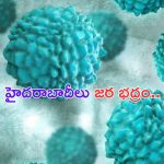 Virus Alert : హైదరాబాద్ లో కొత్త వైరస్.. రోజుకు 120 కేసులు.. GHMC అలర్ట్