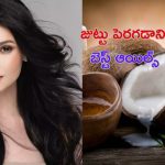Homemade Hair Oils: జుట్టు పెరగడానికి బెస్ట్ హోం మేడ్ ఆయిల్స్