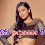 Shruti Haasan: ఆ విషయంలో సిగ్గెందుకు.. తేల్చి చెప్పిన  హాసన్ బ్యూటీ