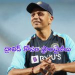 Rahul Dravid : రాహుల్ ద్రవిడ్ పై ఐపీఎల్ ఫ్రాంచైజీల కన్ను