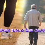 Shatpavali Ritual : శతపావళి.. సెలబ్రిటీల ఆరోగ్య రహస్యం ఇదే.. మీరూ ట్రై చేయండి.