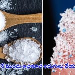Microplastics In Salt and Sugar: మనం తినే ఉప్పు, చక్కెరలోనూ మైక్రో ప్లాస్టిక్స్ .. బయట పడ్డ షాకింగ్ విషయాలు!