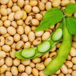 Soybean Health Benefits: గుండె ఆరోగ్యానికి సోయాబీన్స్‌తో అనేక ప్రయోజనాలు..