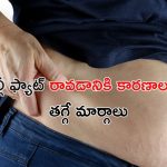 Belly Fat Causes: బెల్లీ ఫ్యాట్ ఎందుకు వస్తుంది ? తగ్గించుకోవడం ఎలా..