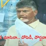 CM Chandrababu: అప్పులు ఫుల్.. ఆదాయం నిల్: సీఎం చంద్రబాబు